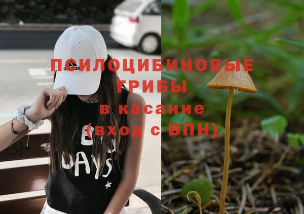 mdpv Арсеньев