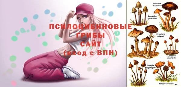 jwh Аркадак