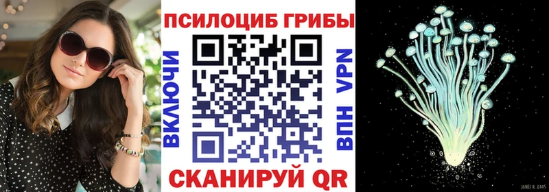 Галлюциногенные грибы Psilocybe Павловск