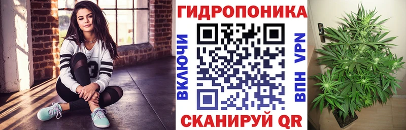 Конопля сатива  цены наркотик  Павловск 